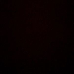 Meet your Posher, Kylee